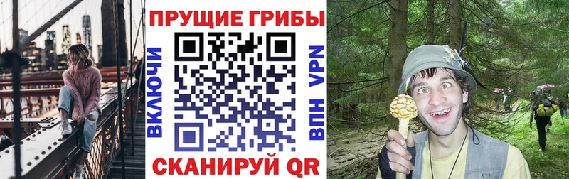 сайты даркнета официальный сайт  Тырныауз  Псилоцибиновые грибы мицелий 